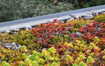 the cost of Warmwell green roof installation