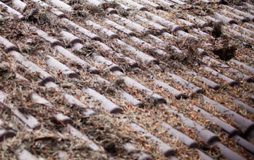 Warmwell roof cleaning companies